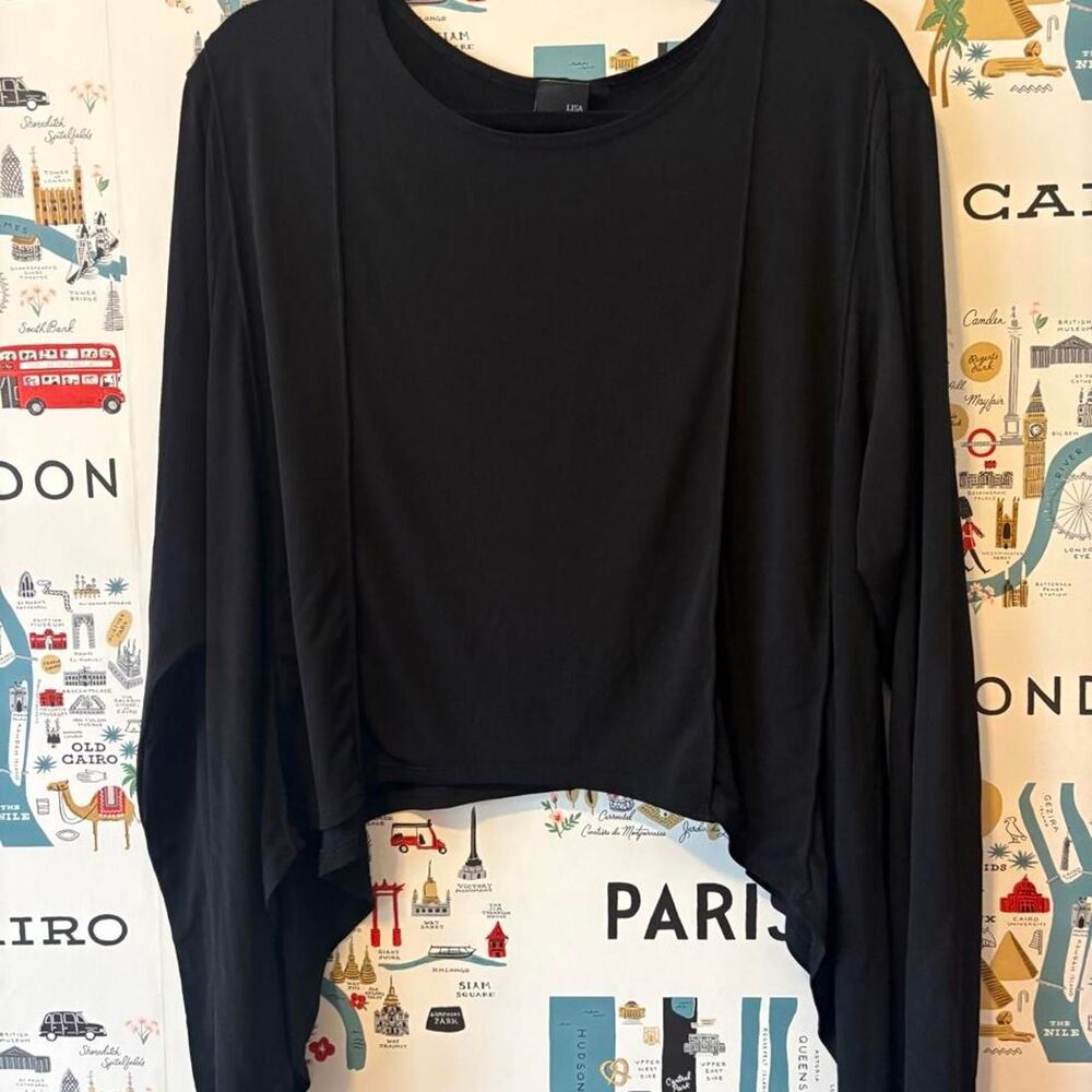 Lisa Bayne Asymmetrical Sheer Black Blouse
